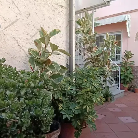 House With Bikes Included By Belcantovillas * Torre del Lago Puccini